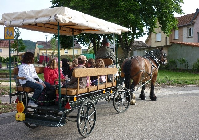 Chevaux communaux