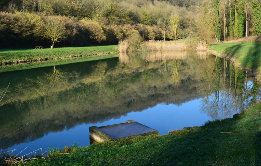 Etang du tivoli 2